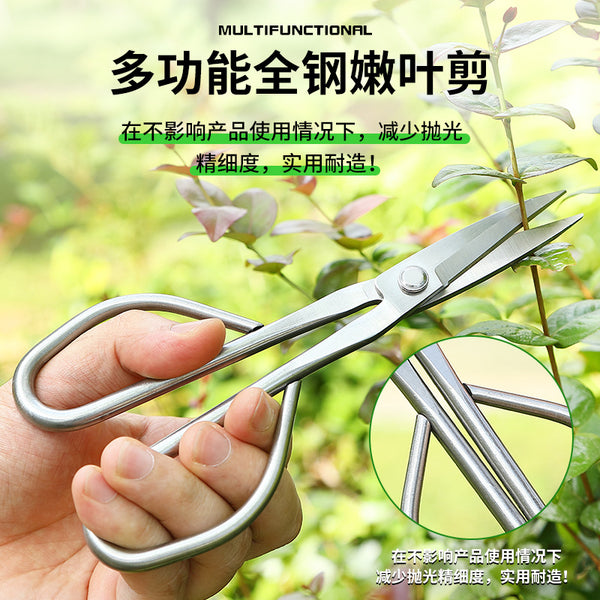 Young leaf scissors bonsai tools branch scissors lengthened stainless steel gardening scissors tender leaf buds pruning scissors all steel scissors