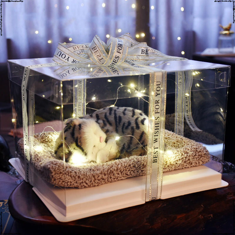 Birthday gifts for girls on Children's Day, children's girlfriends, girlfriends, simulated cats to accompany dolls 61 gift boxes