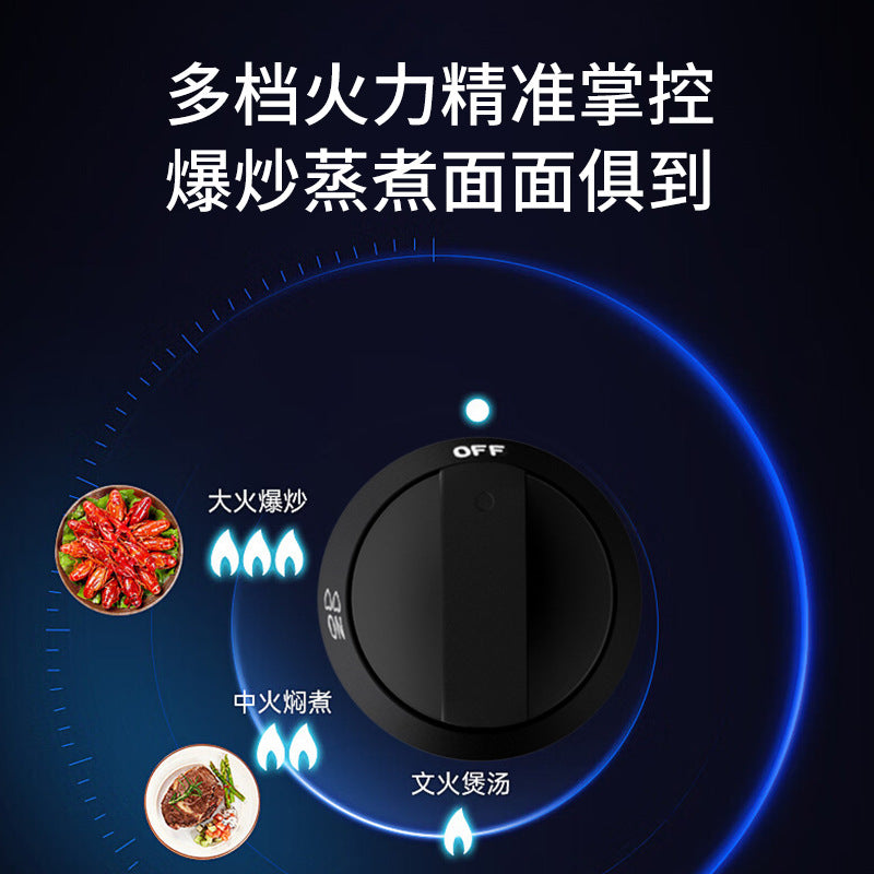 Wholesale gas stove for home double stove desktop gas stove natural gas stove liquefied gas stove large power stainless steel