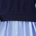 autumgirlk-stylepreppy skirttwo-piece setheartembroiderknitting vest shirt lapeldress