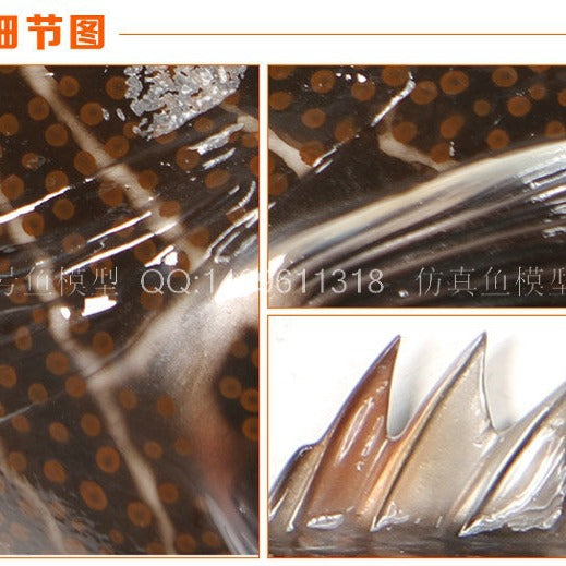 Simulation black spot model half fish wall pendant ornament high imitation sea fish model fiberglass large fish model