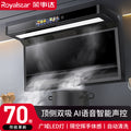 Wholesale royalstar high suction range hood for home kitchen new arrival small rental roof side double range hood