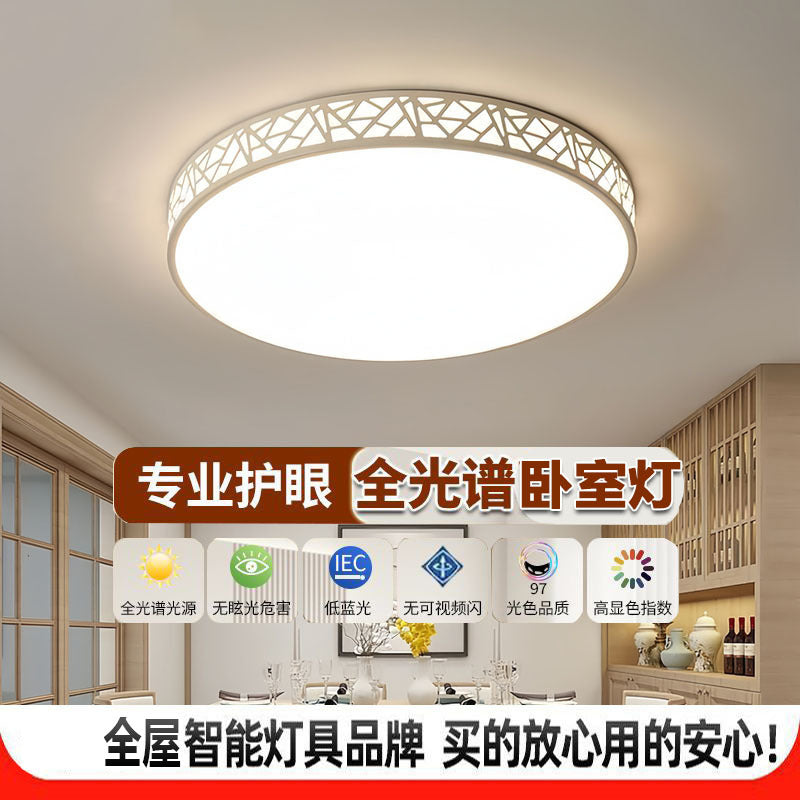 LED ceiling light modern simple atmosphere home living room lighting 2024 new hall chandelier bedroom lighting