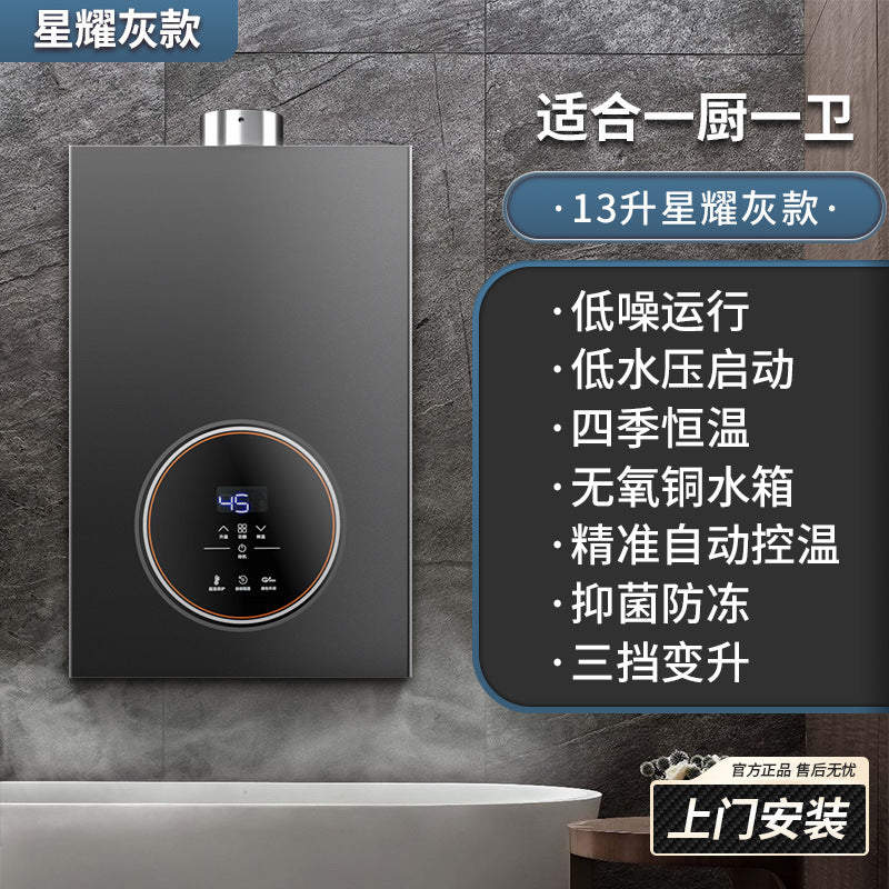 Wholesale royalstar natural gas gas water heater for home13l liquefied gas coal gas forced exhaust gas model 16 liters
