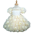 Kids' birthday cake dress - 3d floral bud, stylish little girl princess dress, girls' dress, new european and american cross-border style