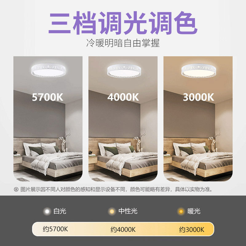 Ceiling light, living room light Modern simple lighting Bedroom light Balcony light LED ceiling light Bull lamp Home improvement