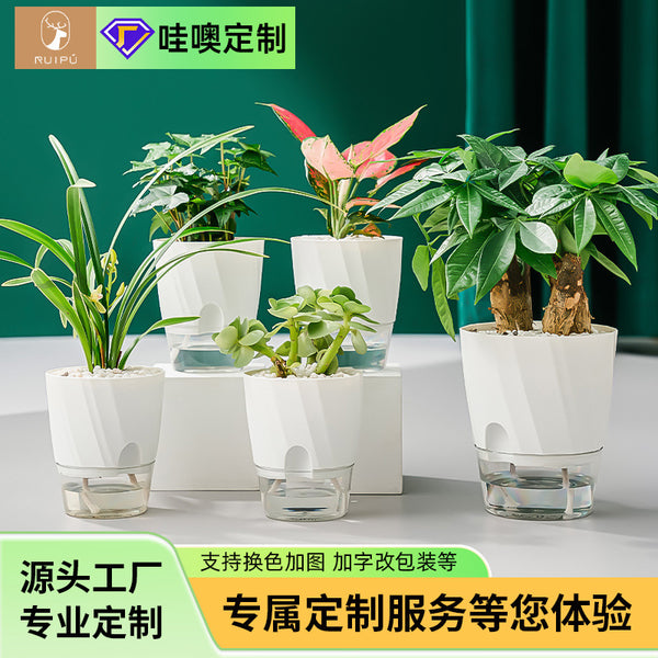New lazy dill plant automatic water absorption small flower pot design sense transparent water-raised hydroponic plant plastic flower pot