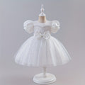 Export kidswedding dress skirt puffy mesh princess skirt 3-15 years old medium and large children's clothing girl white performance costume