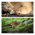 Dinosaur toy set for kids: tyrannosaurus rex, triceratops, and more - soft vinyl, realistic animal model figures