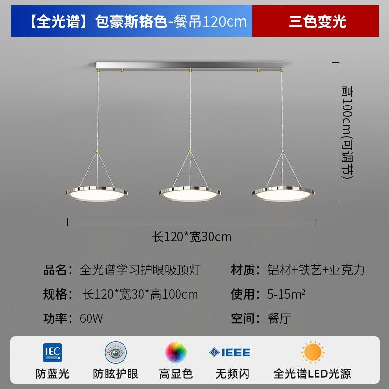 Zhongshan Modern Simple Living Room Light Ceiling Light 2025 New Puri Full Spectrum Eye Protection Bedroom Room Lighting