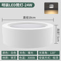 White shell - 6inch -24w-warm light 3000k