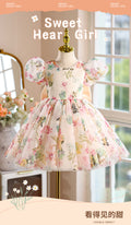 hot-selling girls' dresses, new summer collection for baby girls and toddlers, birthday and first birthday party dresses, printed princess dresses for children