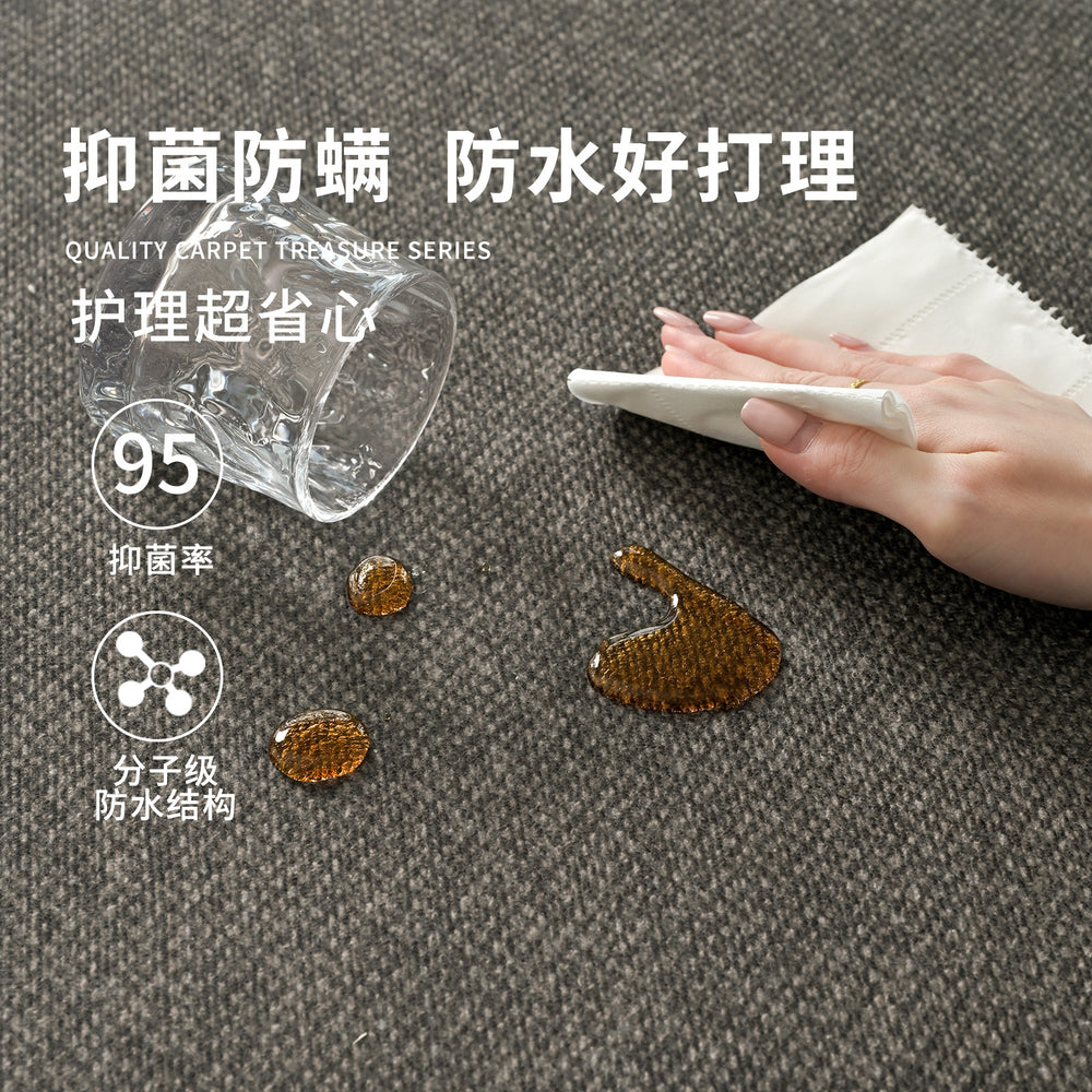 Carpet living room italian normcore black high-end modern simple waterproof washable bedroom floor mat large area