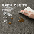 Carpet living room italian normcore black high-end modern simple waterproof washable bedroom floor mat large area