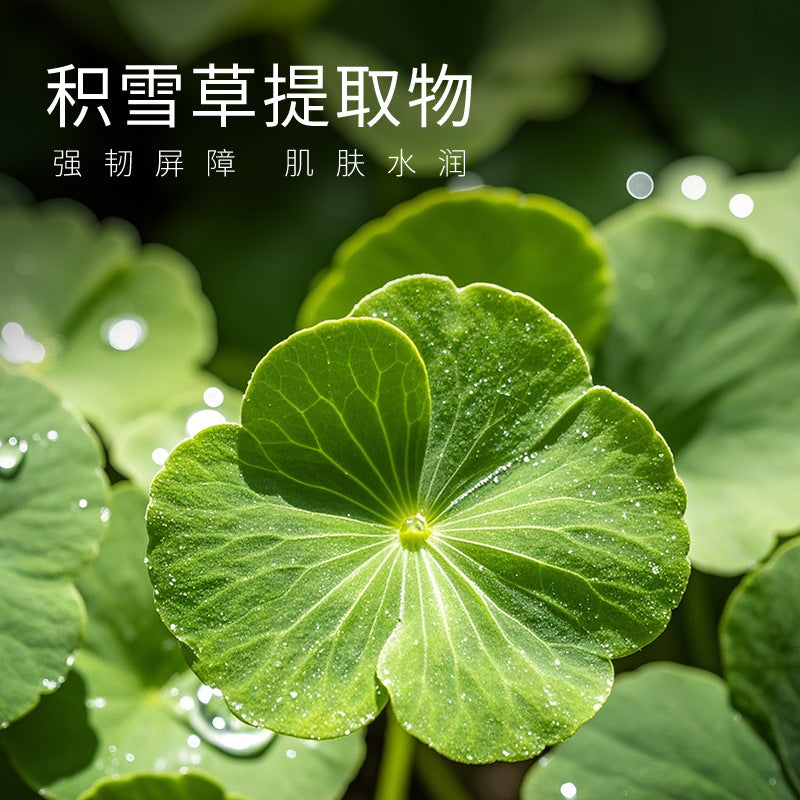 Boquan Ya Centella Centella Niacinamide Cleansing Mask Hydrating, Moisturizing, Shrinking Pores, Brightening Skin Color Hyaluronic Acid