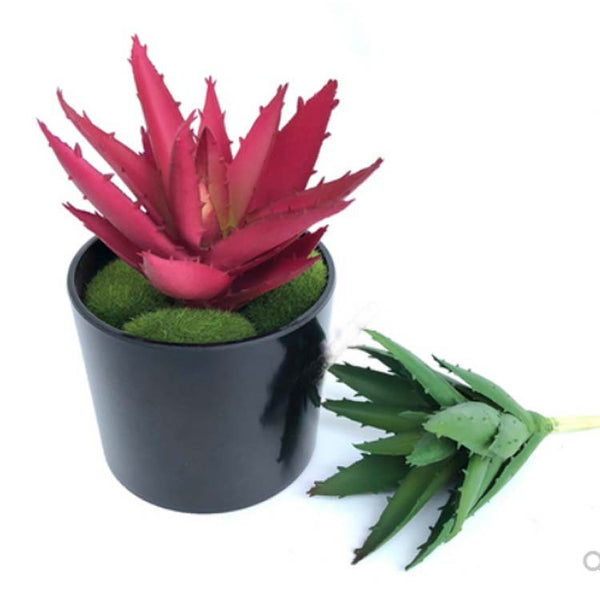 Simulated Aloe Vera Xiaolian Aloe Vera Potted Succulent Plant Artificial Plastic Flower Tabletop Fake Flower Ornament