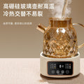 Multifunctional health pot for home small office all-glass tea maker water kettle flower teapot smart cross-border american standard