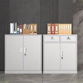 Iron file cabinet low cabinet office data file cabinet steel financial voucher storage cabinet for home storage cabinet
