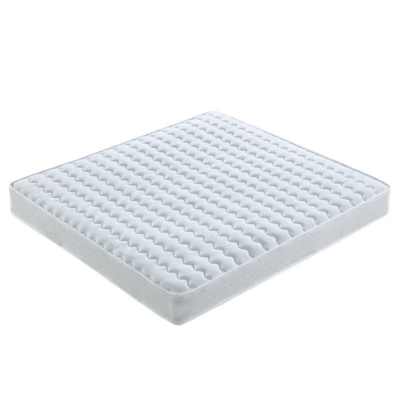 Spring mattress 20cm thick double 1.5m 1.8 meters hotel household latex soft cushion coconut palm hard cushion