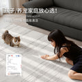Removable and washable carpet, living room, light luxury, high-end, italian style, anti-fouling, dirt-resistant, easy-care, sound-insulating, for home sofa coffee table cushion
