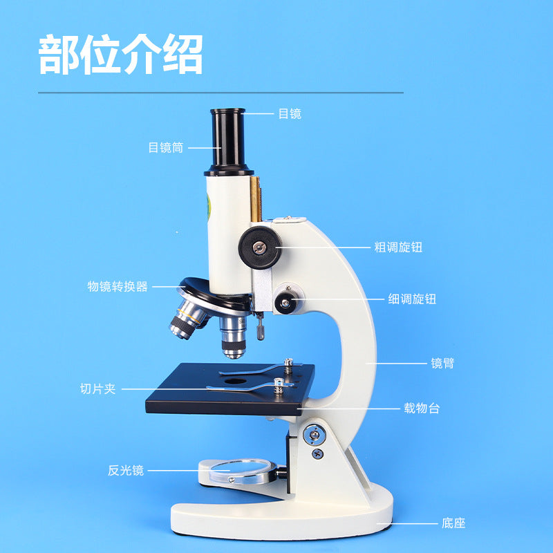 Phenix Phoenix microscope XSP-02-640 times teaching model for primary and secondary school students