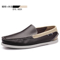 6029 brown rice white