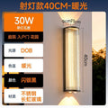 Up and down luminous outdoor wall lamp changhong glass waterproof courtyard gate side lights villa exterior wall