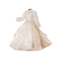 Girls' dresses: unique birthday, high-end children's piano performance outfits, flower girl dresses, little hostess dresses, princess dresses, new winter collection