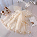 Girls' dress  new summer collection - stylish princess dress for little girls, featuring bubble sleeves and mesh skirt