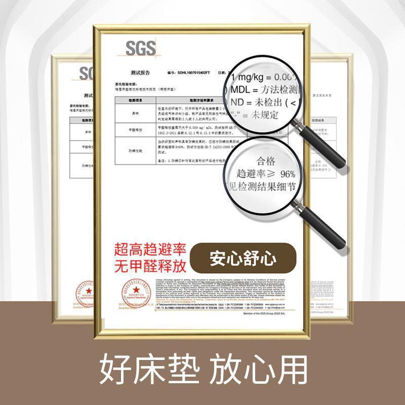 Natural coconut coir mattress - eco-friendly mattress 1.9m - student dormitory palm hard mattress - tatami foldable chinese style