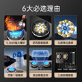 Gas stove double stove gas stove for home fierce fire stove embedded natural gas liquefied gas stove 2024new arrival wholesale
