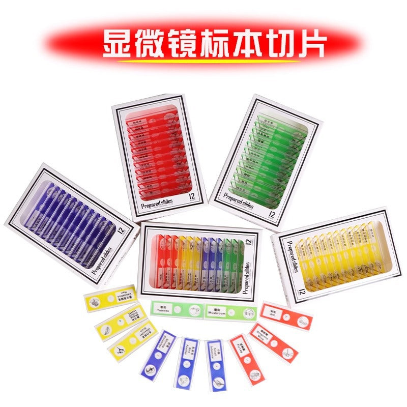 Source kids microscope lens specimen animal plant insect biological slice scientific small production experiment play puzzle