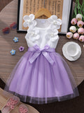 Girls' dress for toddlers and young children, pearl flower bow mesh dress