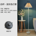 Modern minimalist floor lamp - perfect for living room, bedroom, study, beside sofa, or hotel guest room. wholesale available