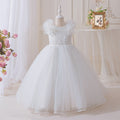 Girls' dresses  new collection: beaded birthday, piano recital, flower girl, runway performance, mesh princess dress for girls (sizes for mid-to-large children)