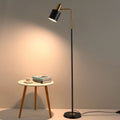 fashion gold bestseller: minimalist living room & bedroom floor lamp - creative, beautiful, eye-caring full spectrum floor lamp