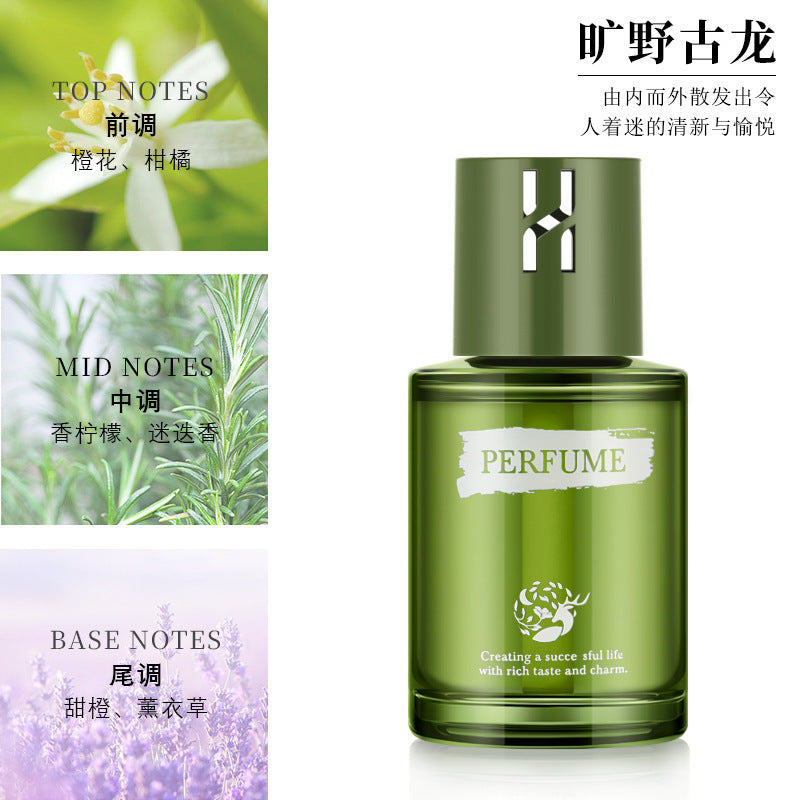 best-selling car perfume and aromatherapy for men, high-end car green field essence version fragrance