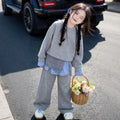 Girls' spring  new collection: korean style retro patchwork three-piece set - sweatshirt & wide-leg pants outfit for mid-to-large children - trendy style