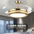 Invisible voice control fan light ceiling fan light bluetooth speaker led electric fan light fan chandelier restaurant ceiling fan light