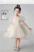 Girls' train dress, stylish children's princess dress, new baby catwalk piano performance clothes, in stock wholesale