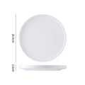 10inch disc with edge