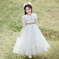 Hot-selling girls' dresses in stock: new  chiffon summer collection - stylish and chic short-sleeve dresses for girls