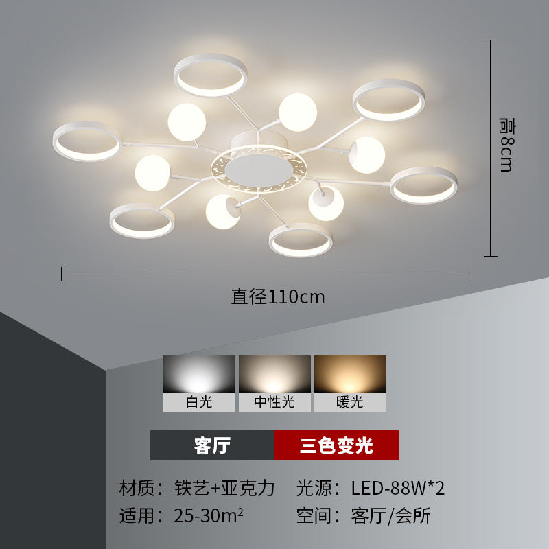 Living room main light 2025 new popular hall light Guangdong Zhongshan lighting whole house package combination three rooms and two living rooms