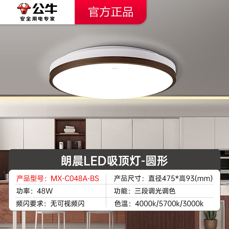 Bull new Langchen ceiling light lighting ceiling simple modern lighting package room bedroom led living room light