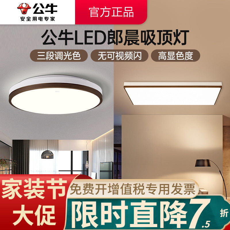 Bull new Langchen ceiling light lighting ceiling simple modern lighting package room bedroom led living room light