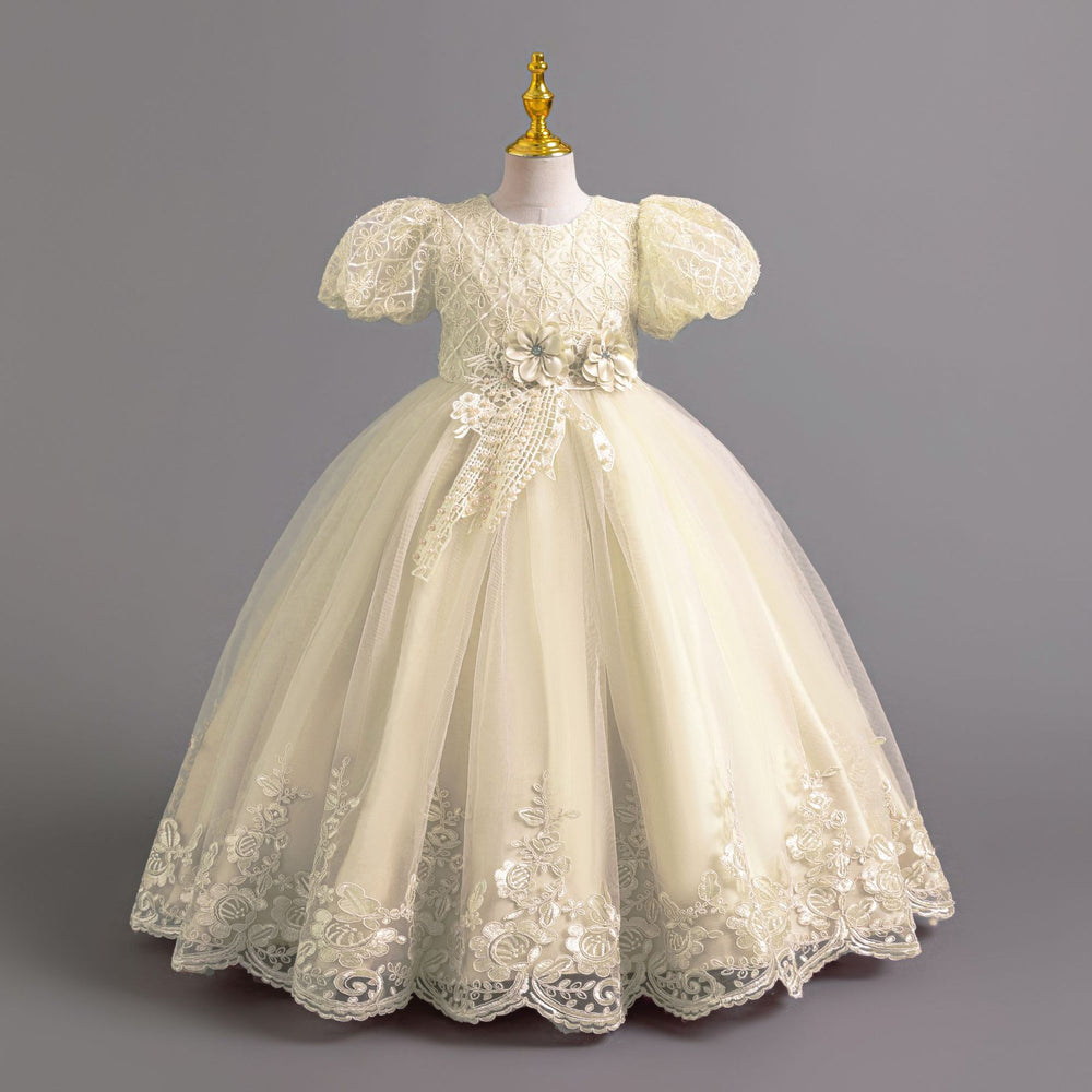 Wholesale foreign trade long dress children's formal gown puff sleeve lace princess dress girls' party dress girl dress
