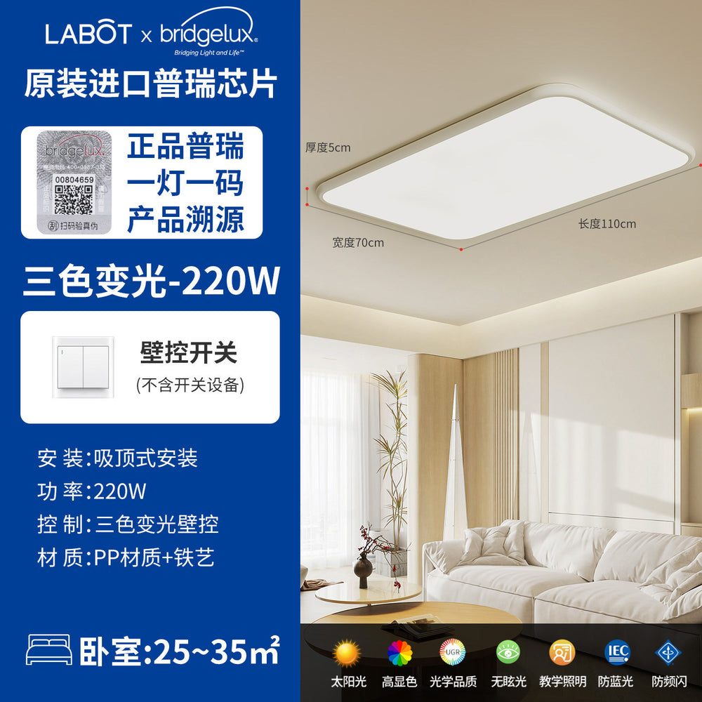 2025 new arrival: modern minimalist ceiling lights for living rooms - complete home lighting collection for master bedrooms, dining rooms, and more - zhongshan lighting showcase