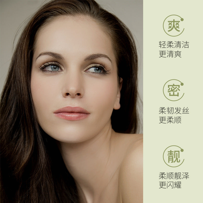 Boquanya Yizhi Spring Anti-hair loss Shampoo Warm and refreshing Anti-hair loss Soft and bright Shampoo