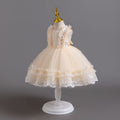 Exportnew arrival children's dress lace tutu princess dress female toddler first birthday dress baby dress
