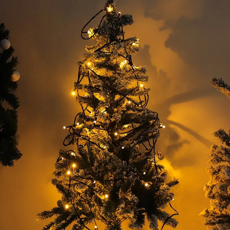 LED lantern reel light string Gypsy star outdoor small lantern lighting decoration 50 meters waterproof colorful atmosphere light string